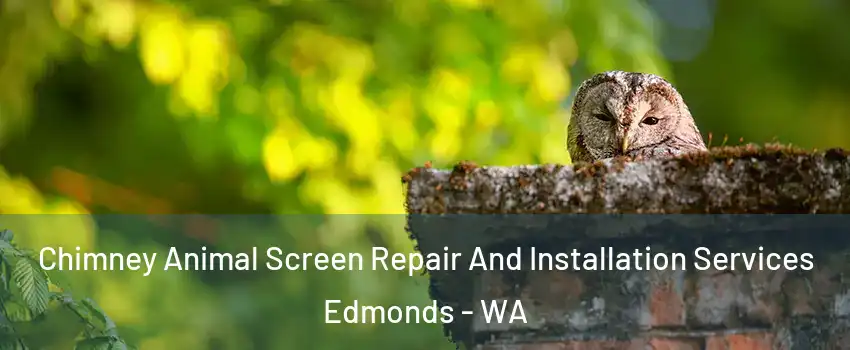  Chimney Animal Screen Repair And Installation Services Edmonds - WA