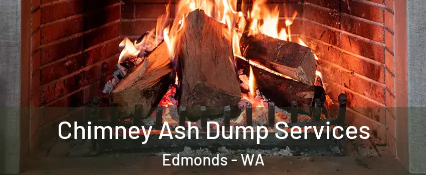 Chimney Ash Dump Services Edmonds - WA