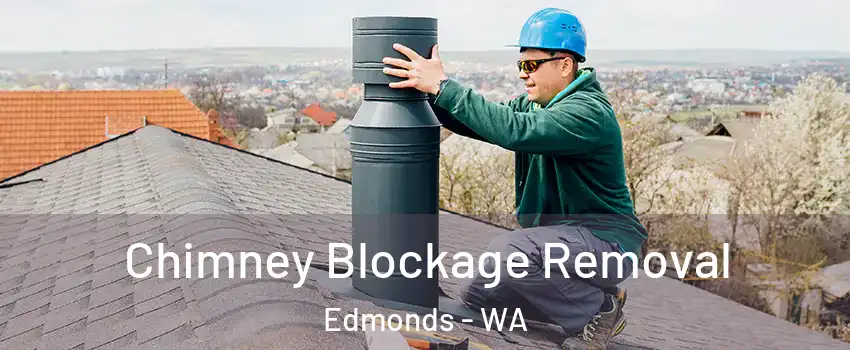  Chimney Blockage Removal Edmonds - WA