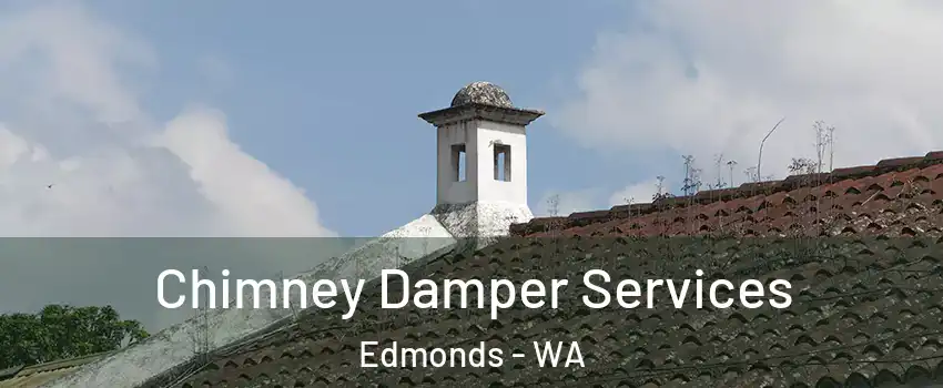  Chimney Damper Services Edmonds - WA