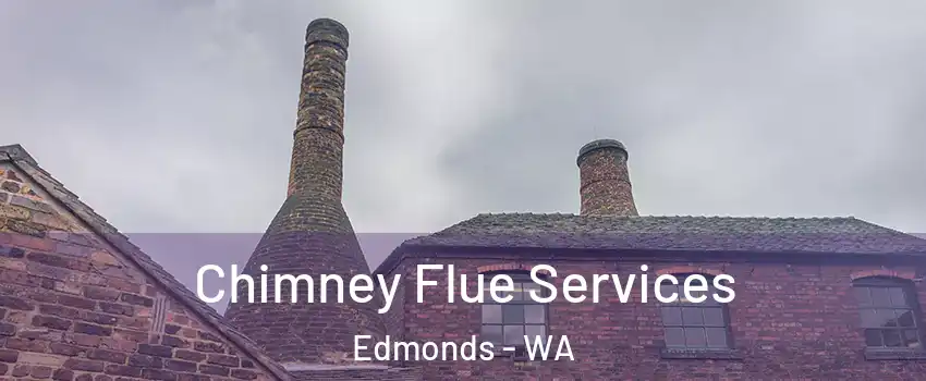  Chimney Flue Services Edmonds - WA