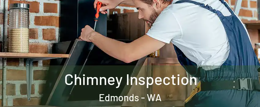  Chimney Inspection Edmonds - WA