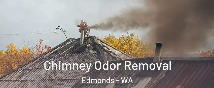  Chimney Odor Removal Edmonds - WA