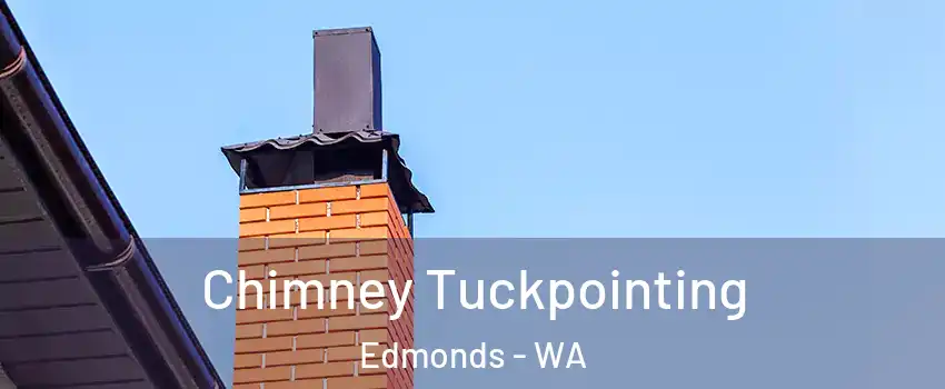  Chimney Tuckpointing Edmonds - WA