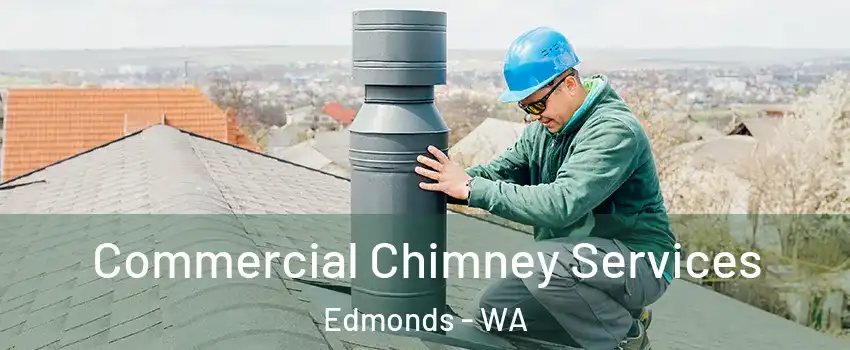  Commercial Chimney Services Edmonds - WA