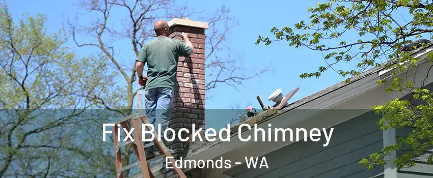  Fix Blocked Chimney Edmonds - WA