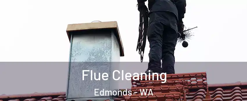  Flue Cleaning Edmonds - WA