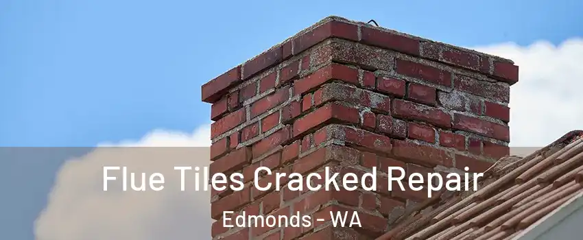  Flue Tiles Cracked Repair Edmonds - WA
