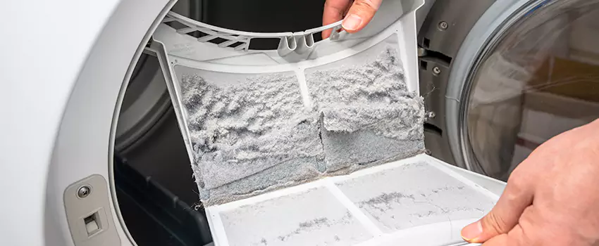 Best Dryer Lint Removal Company in Edmonds, Washington