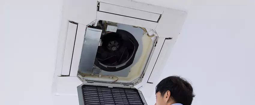 Benefits of Professional Air Duct Cleaning in Edmonds, Washington