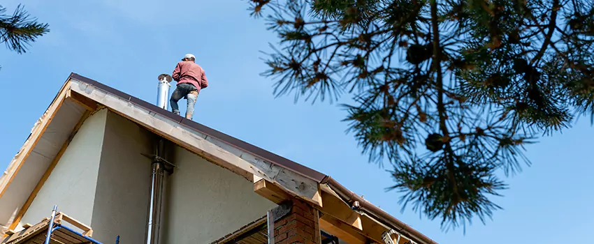 Birds Removal Contractors from Chimney in Edmonds, WA