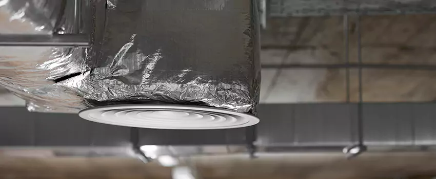 Signs of Dust Accumulation in Vents in Edmonds, WA