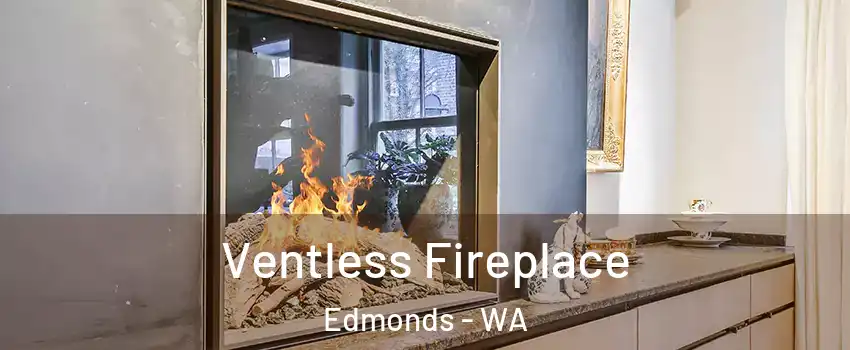  Ventless Fireplace Edmonds - WA